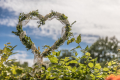 255_Hochzeit_476A2328
